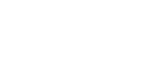 Vizu text